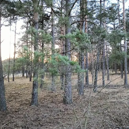 Osada Blanka Lesny Zakatek Jezioro Rzeka Holiday home Swornegacie
