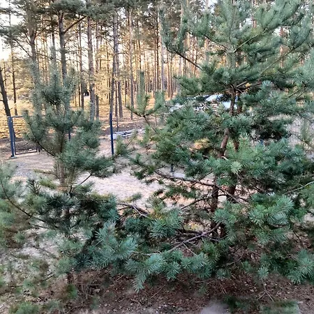 Osada Blanka Lesny Zakatek Jezioro Rzeka *