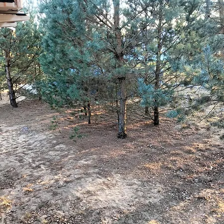 Osada Blanka Lesny Zakatek Jezioro Rzeka 度假居