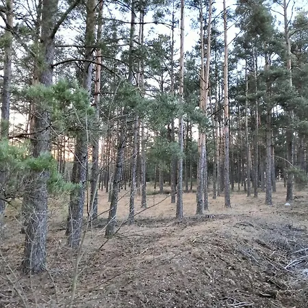 度假居 Osada Blanka Lesny Zakatek Jezioro Rzeka 斯沃尔纳加西耶