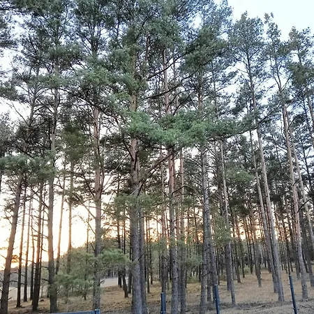 Osada Blanka Lesny Zakatek Jezioro Rzeka *