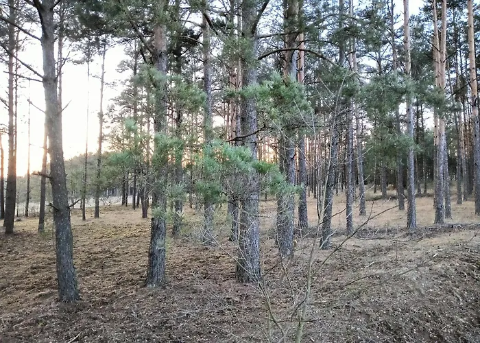 Osada Blanka Lesny Zakatek Jezioro Rzeka Prázdninový dům Swornegacie