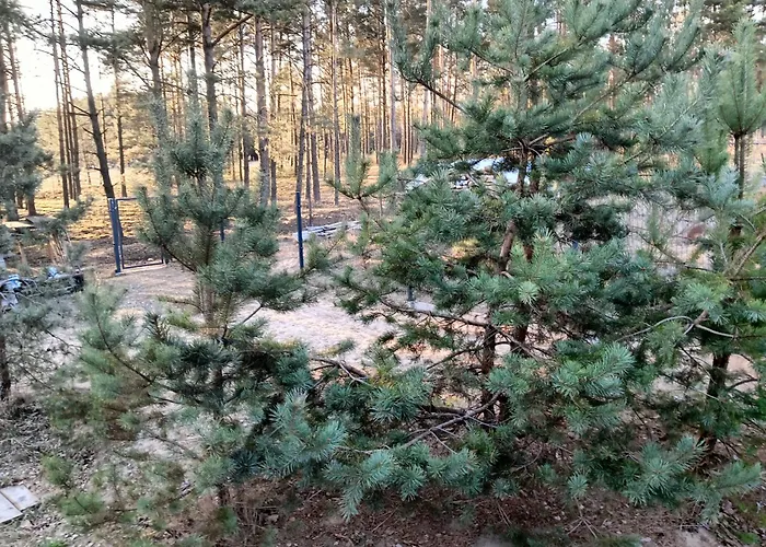 Osada Blanka Lesny Zakatek Jezioro Rzeka *