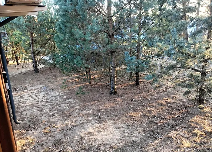 Osada Blanka Lesny Zakatek Jezioro Rzeka Prázdninový dům