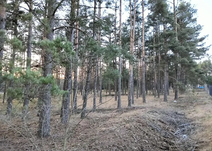 Prázdninový dům Osada Blanka Lesny Zakatek Jezioro Rzeka Swornegacie