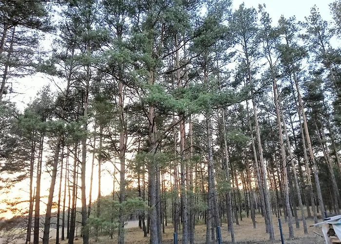 Osada Blanka Lesny Zakatek Jezioro Rzeka *